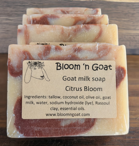 Citrus Bloom
